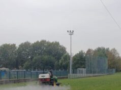 Seregno, lotta biologica alla Popillia japonica: trattati due ettari di prato nei parchi cittadini